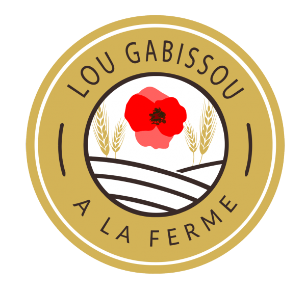 logo_lou_gabisssou_detoure